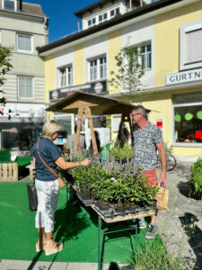 (c) Stadtgemeinde Ried